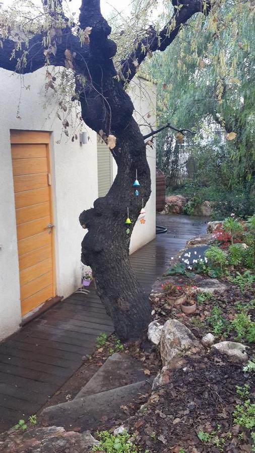 Oak Shade Villa Bethlehem of Galilee ภายนอก รูปภาพ